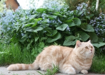 Ольгу Бетину, волшебную фею, с Днем Рождения!