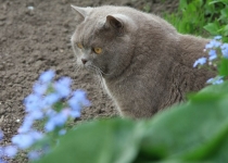 Ольгу Бетину, волшебную фею, с Днем Рождения!