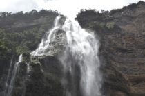 туманное очарование Амазонаса