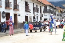 туманное очарование Амазонаса