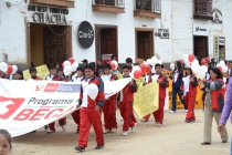 туманное очарование Амазонаса