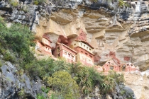 туманное очарование Амазонаса