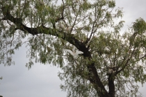 один день в Кахамарке один день в Кахамарке