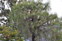 один день в Кахамарке один день в Кахамарке