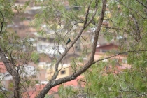 один день в Кахамарке один день в Кахамарке