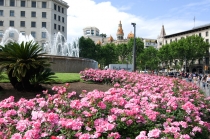 Испания - май 2013 - "По следам бывалых..."