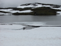 В сказке серо-сине-бело-зелёного цвета. Норвегия(Oppland-Sogn-Hordaland) июль-август 2012