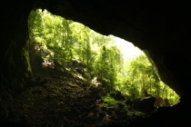 Борнео (Сабах + Мулу), май 2013