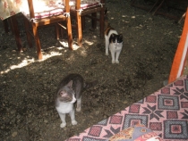 Стамбул-Гереме-Каш-Чиралы-Стамбул (01.05.13-13.05.13)