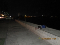 Разочарованный потомок