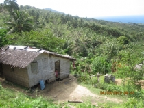 Разочарованный потомок