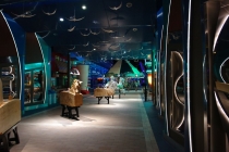 Allure of the Seas: круиз по Восточным Карибам, 12-19 мая 2013