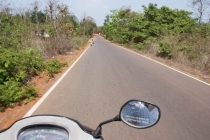 Какой на вкус Гоа?