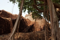 Какой на вкус Гоа?