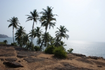 Какой на вкус Гоа?