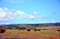 Pont Naturel Maurice