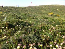 Немножко Австрии много Португалии в апреле 2013 года