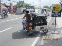 Разочарованный потомок