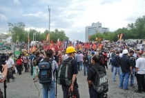 Беспорядки в стабуле