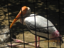 Разочарованный потомок