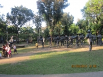 Разочарованный потомок