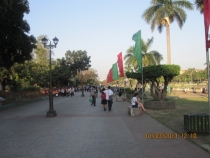 Разочарованный потомок