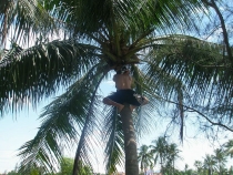 Вьетнам-Лаос: море, горы, реки…или страна неприятных сюрпризов