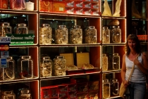 Северный Таиланд