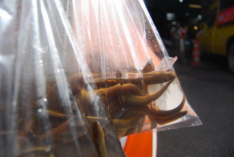 Северный Таиланд