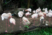 Северный Таиланд