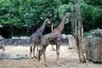 Северный Таиланд