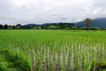 Северный Таиланд