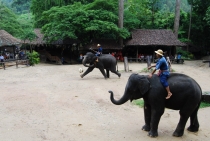 Северный Таиланд