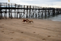 Северный Таиланд