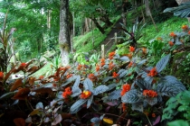 Северный Таиланд