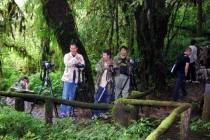 Северный Таиланд