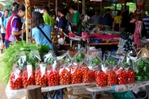 Северный Таиланд