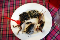 Северный Таиланд