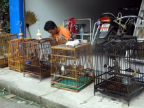 Северный Таиланд