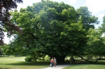 Париж(Замки Луары,Диснейленд)-Ницца и окрестности