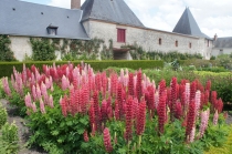 Париж(Замки Луары,Диснейленд)-Ницца и окрестности