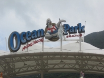 Азиатский вояж дилетантов