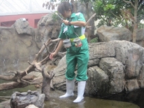 Азиатский вояж дилетантов