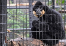 Гуанчжоу-Гонконг'авг 12