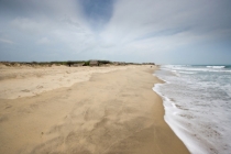 Черная жемчужина Индии - Тамил Над (август 2011)