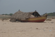 Черная жемчужина Индии - Тамил Над (август 2011)