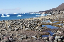 Гренландия под парусом (и Копенгаген как аперитив)