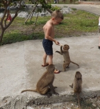 Вьетнам 2013. Хошимин-Нья Чанг-Ханой