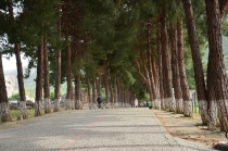 Стамбул + Фетье (оттуда везде на машине) май-июнь 2013