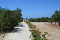 Стамбул + Фетье (оттуда везде на машине) май-июнь 2013